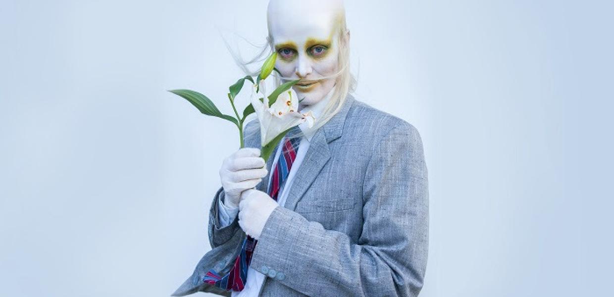 FEVER RAY