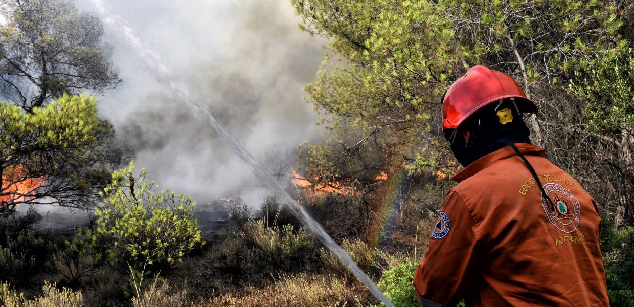 ΦΩΤΙΑ ΣΕ ΔΑΣΙΚΗ ΕΚΤΑΣΗ ΣΤΗ ΚΑΛΛΙΘΕΑ ΛΟΥΤΡΑΚΙΟΥ 