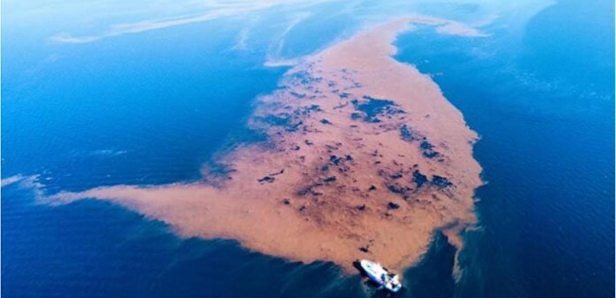 ΠΑΓΑΣΗΤΙΚΟΣ ΝΗΣΙΔΑ