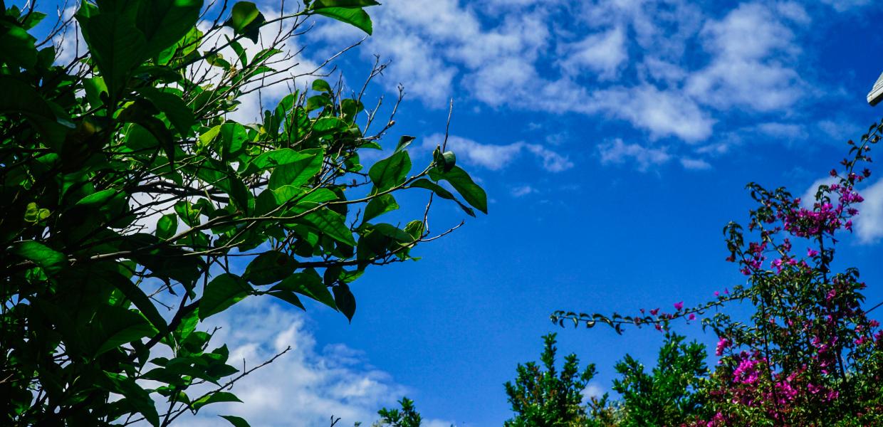 καιρός άνοιξη λιακάδα 