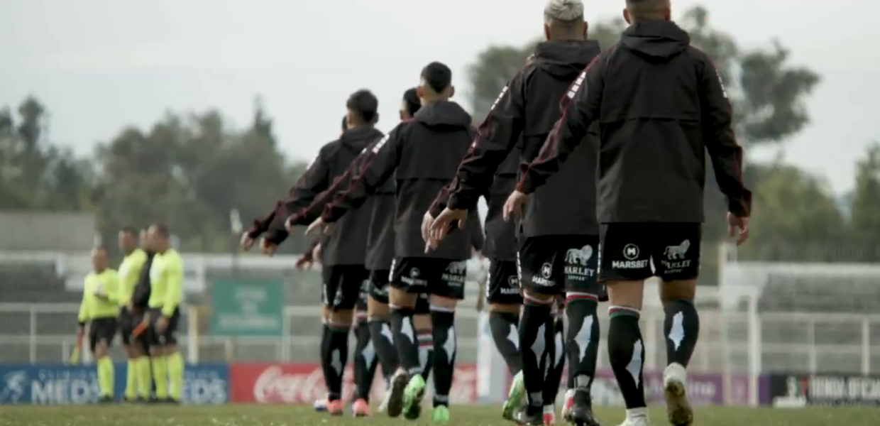 Deportivo Palestino