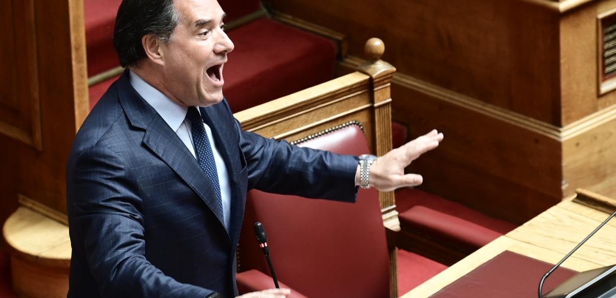 Ο Άδωνις Γεωργιάδης