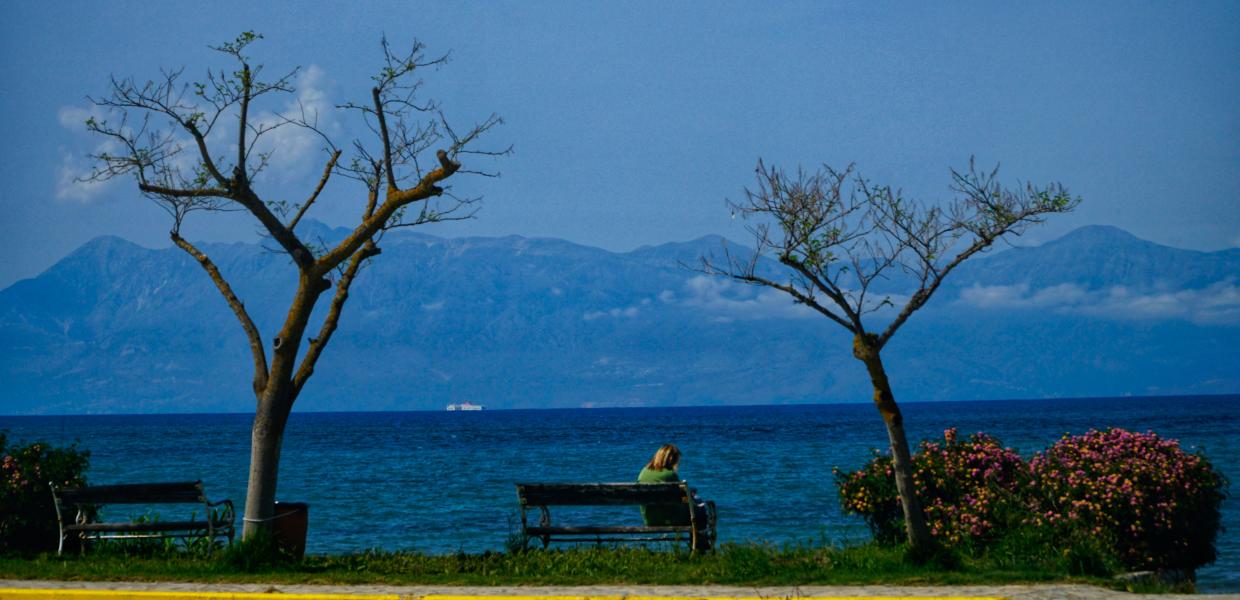 Άνθρωπος σε παγκάκι μπροστά στη θάλασσα ανάμεσα σε δύο δέντρα