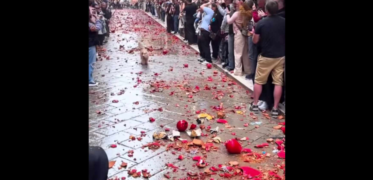  Σκύλος βρισκόταν στο πεδίο βολής Μποτών 