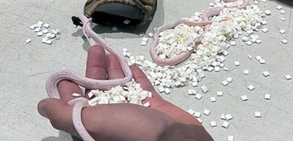 Επιβάτης αεροπλάνου είχε φίδια κρυμμένα μέσα στο παντελόνι του