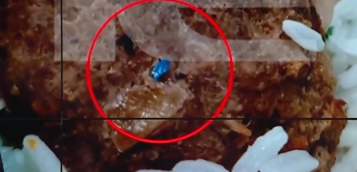 Κομμάτι από γάντι σε σχολικό γεύμα