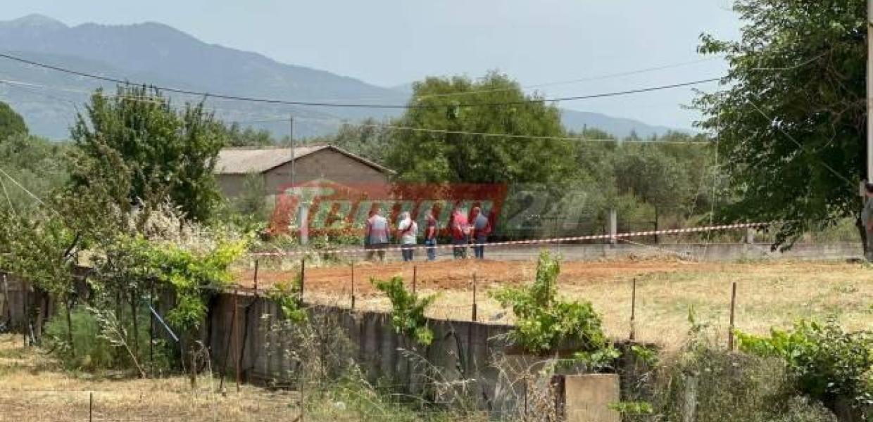 ΑΓΡΙΝΙΟ ΣΚΕΛΕΤΟΣ