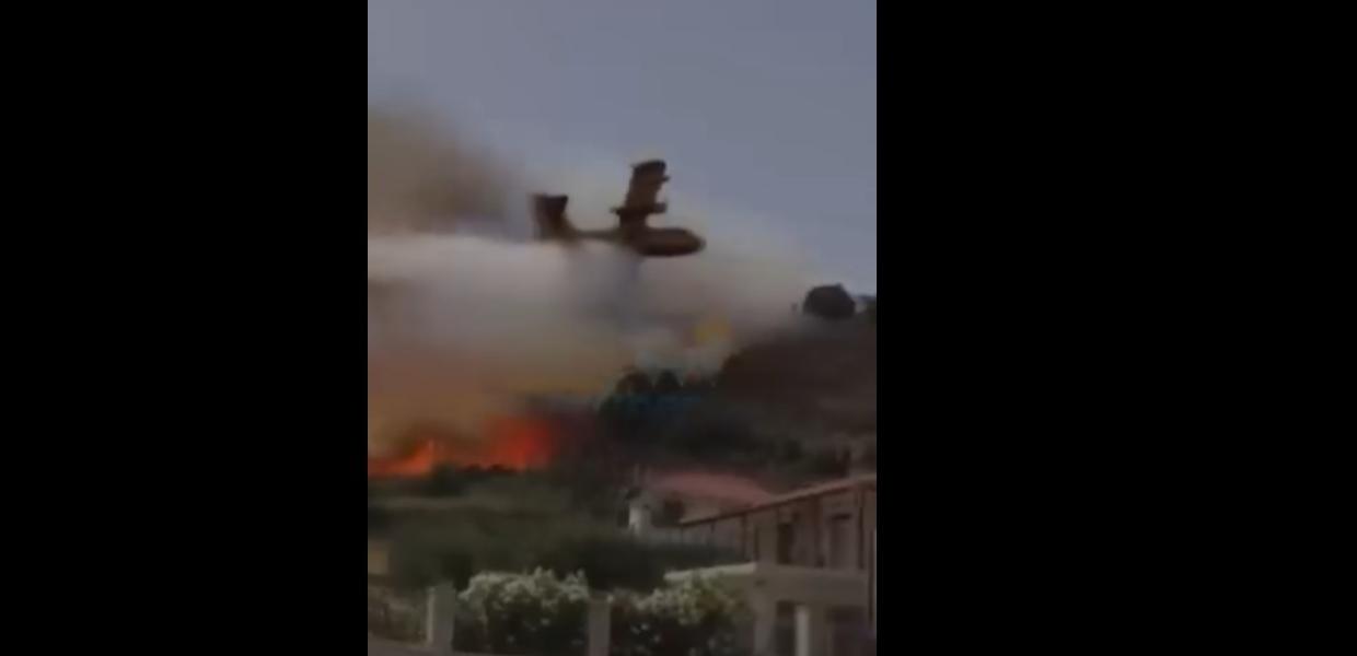 Canadair που επιχειρεί στη Ναυπακτία βρίσκει σε δέντρο