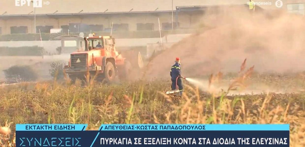 Ελευσίνα