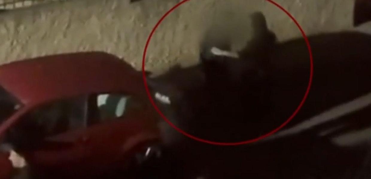 Βίντεο ντοκουμέντο από τη σύλληψη του 59χρονου που έκαψε τη σορό του πατέρα του στα Άνω Λιόσια