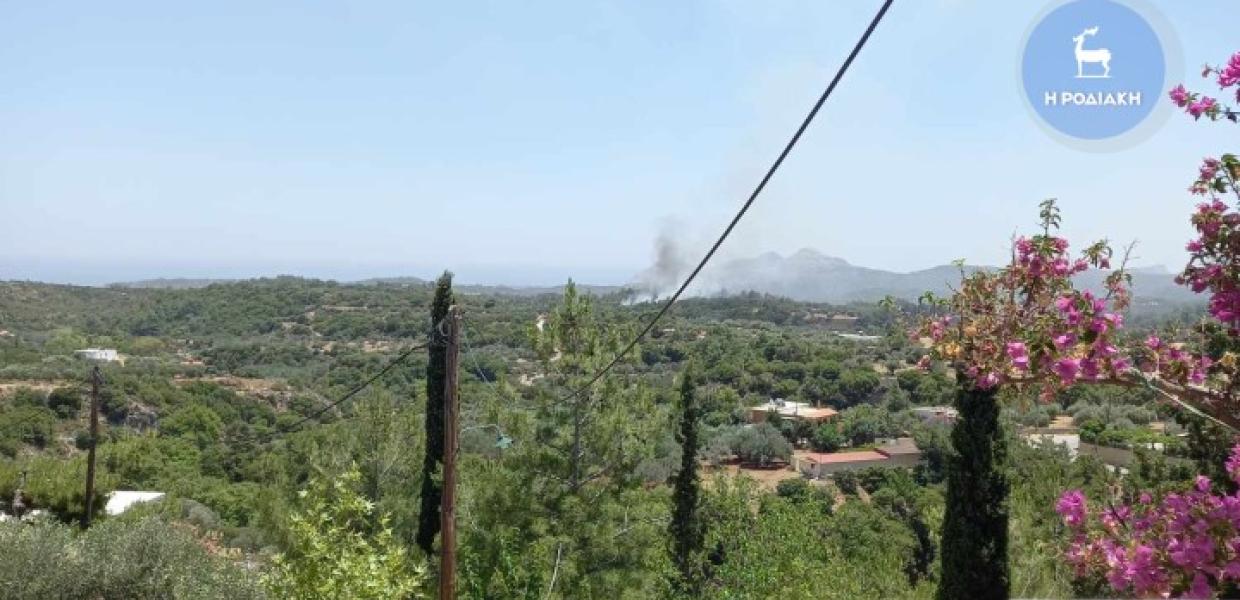 ΡΟΔΟΣ ΦΩΤΙΑ