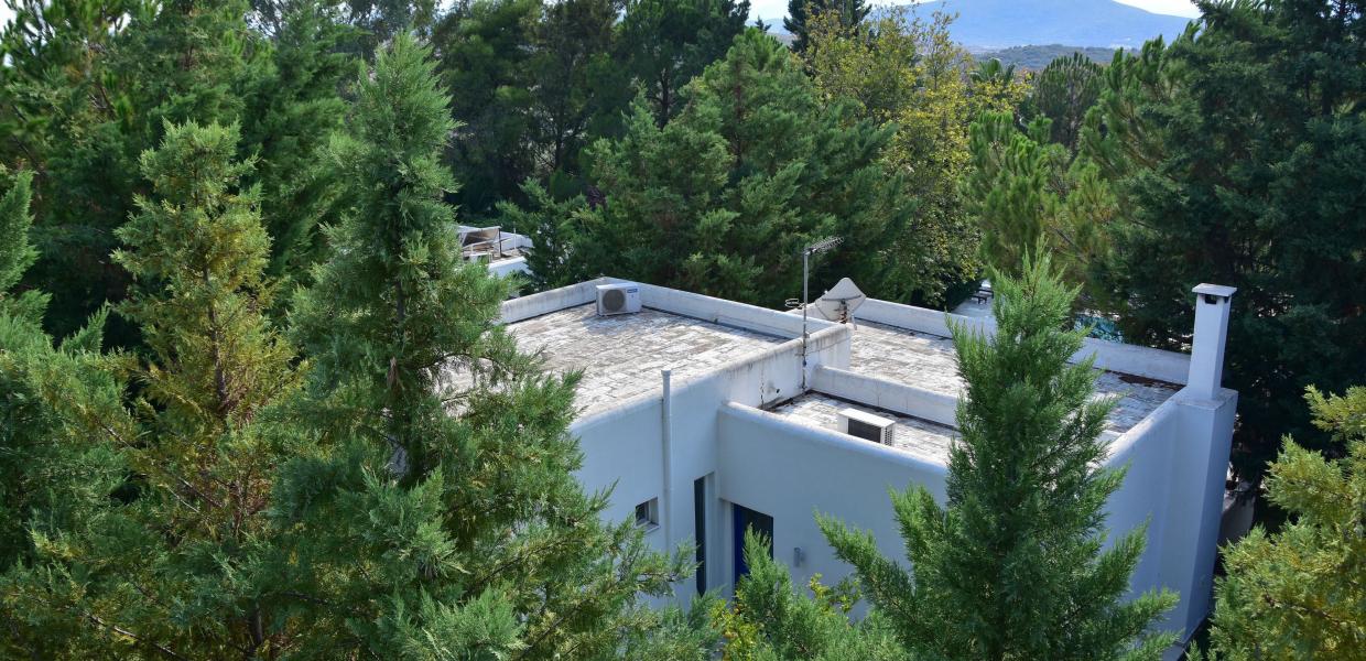 Σπίτια σε δάσος