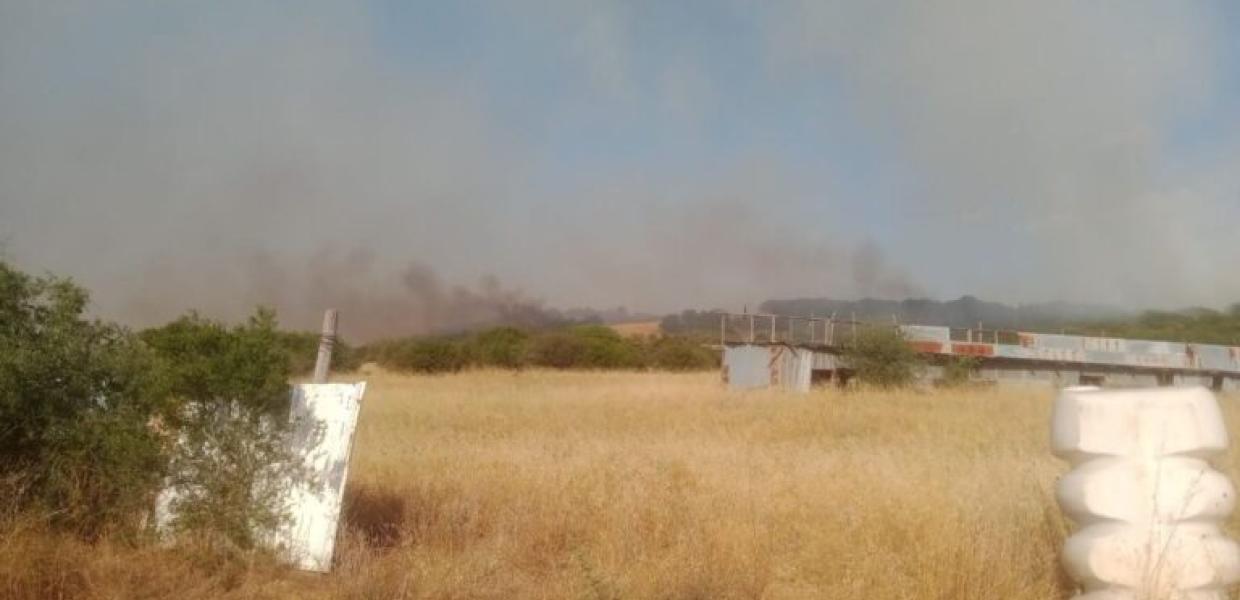 ΦΩΤΙΑ ΒΟΛΟΣ ΠΕΔΙΟ ΒΟΛΗΣ ΓΛΑΦΥΡΩΝ