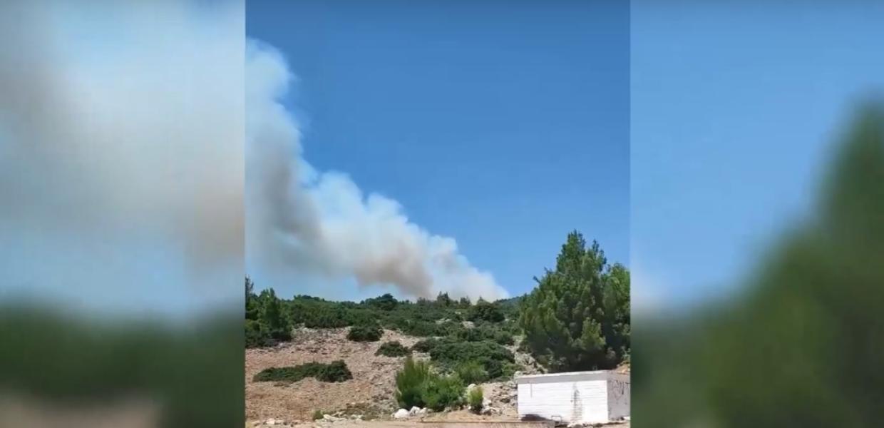 Καπνός από τη φωτιά στα Βίλια