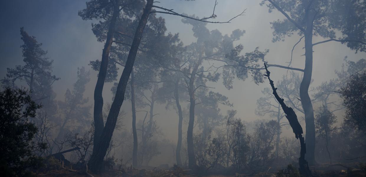 Φωτιά στη Λέσβο