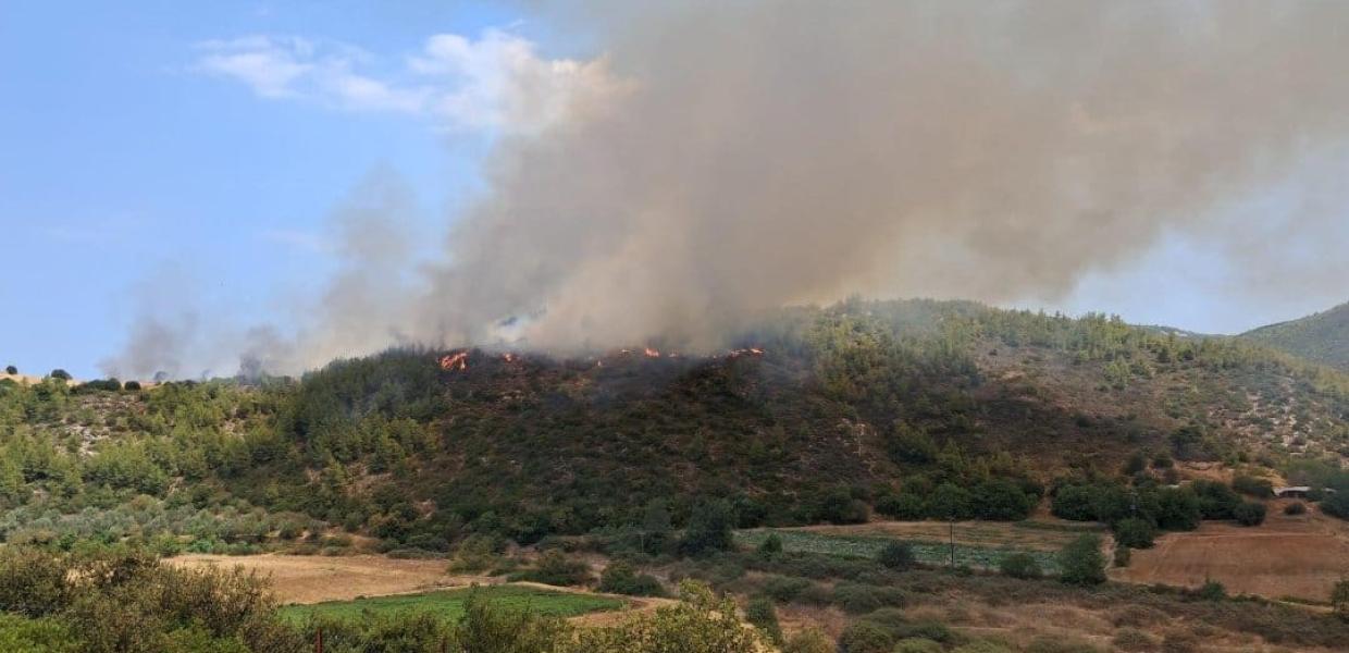 Φωτιά στο Συκάμινο Ωρωπού
