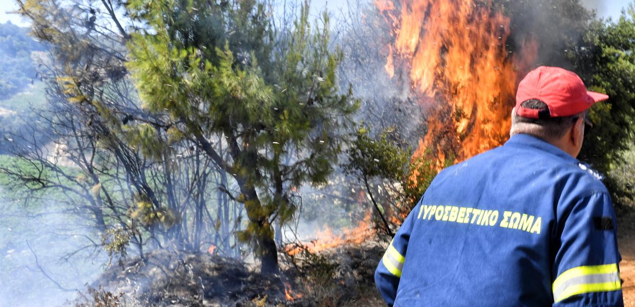 Πυροσβέστης μπροστά από φωτιά που καίει δέντρα