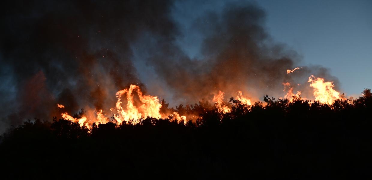 Φλόγες καίνε δασική έκταση στη Σταμάτα