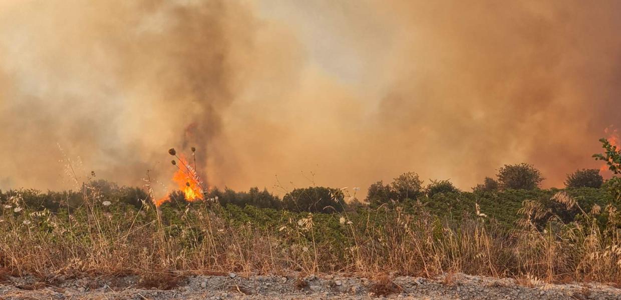 Πυρκαγιά σε δασική έκταση στην περιοχή Στιμάγκα Κορινθίας, Πέμπτη 11 Ιουλίου 2024. 
