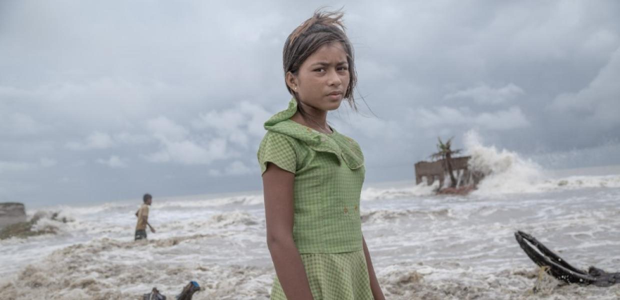 Η νικητήρια φωτογραφία των Mangrove Photography Award 