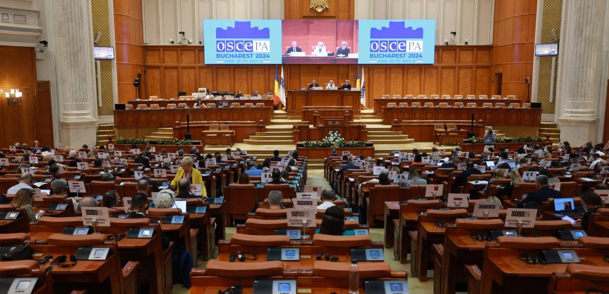 Συνέλευση του ΟΑΣΕ