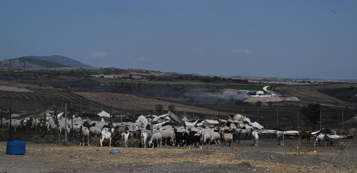 Δεύτερη ημέρα της πυρκαγιάς στο νομό Μαγνησίας, Πέμπτη 27 Ιουλίου 2023