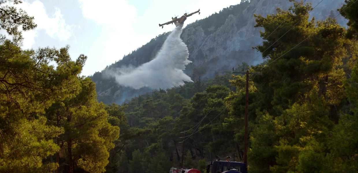 Αεροσκάφος της Πυροσβεστικής πραγματοποιεί κατάσβεση σε δάσος
