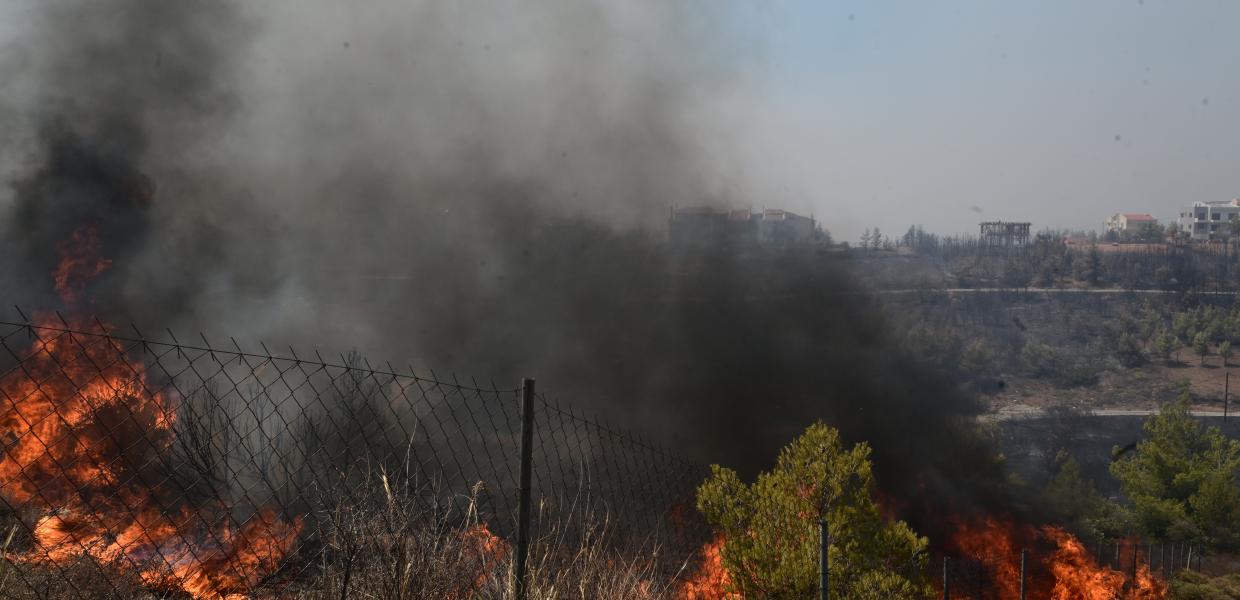 Φωτιά καίει χόρτα πίσω από συρμάτινο φράχτη