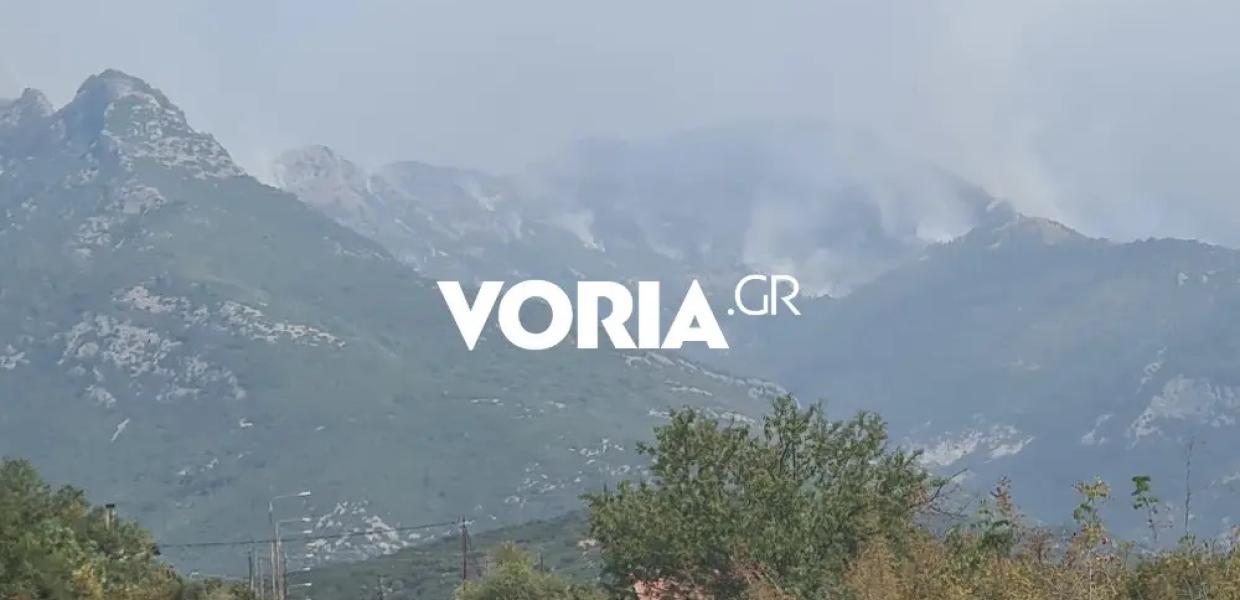Φωτιά στο Παγγαίο όρος στην Καβάλα