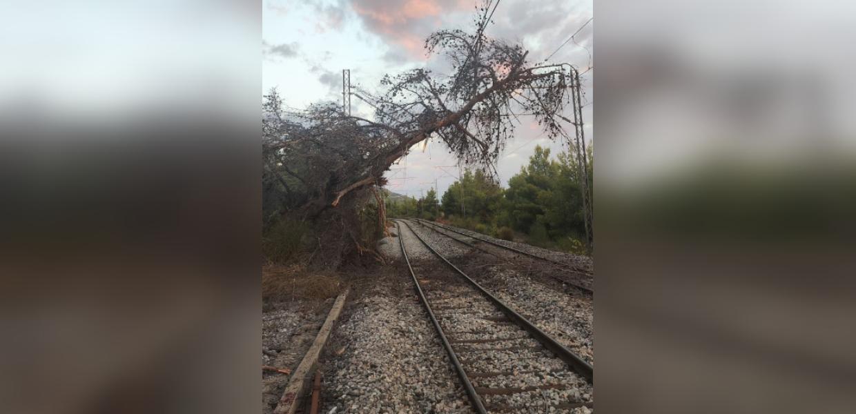 δένδρο γραμμές ΟΣΕ