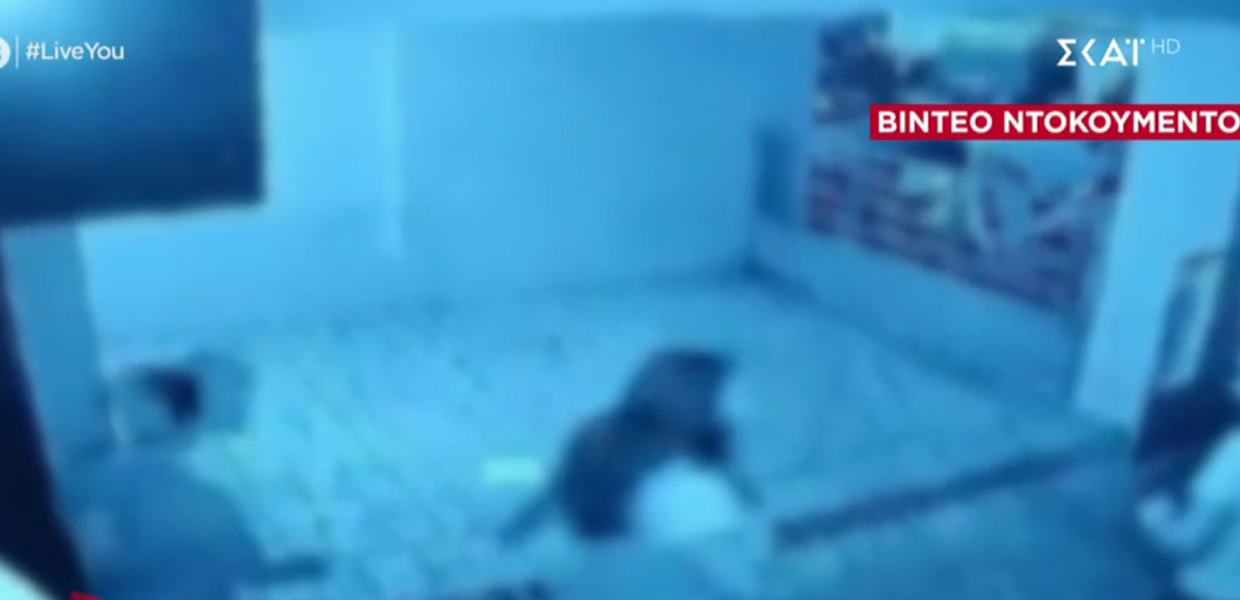 Σεπόλια