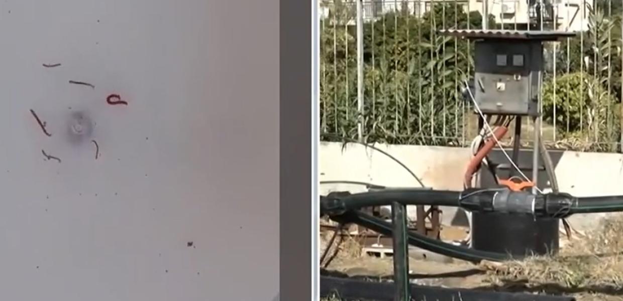 Σκουλίκια σε νερό
