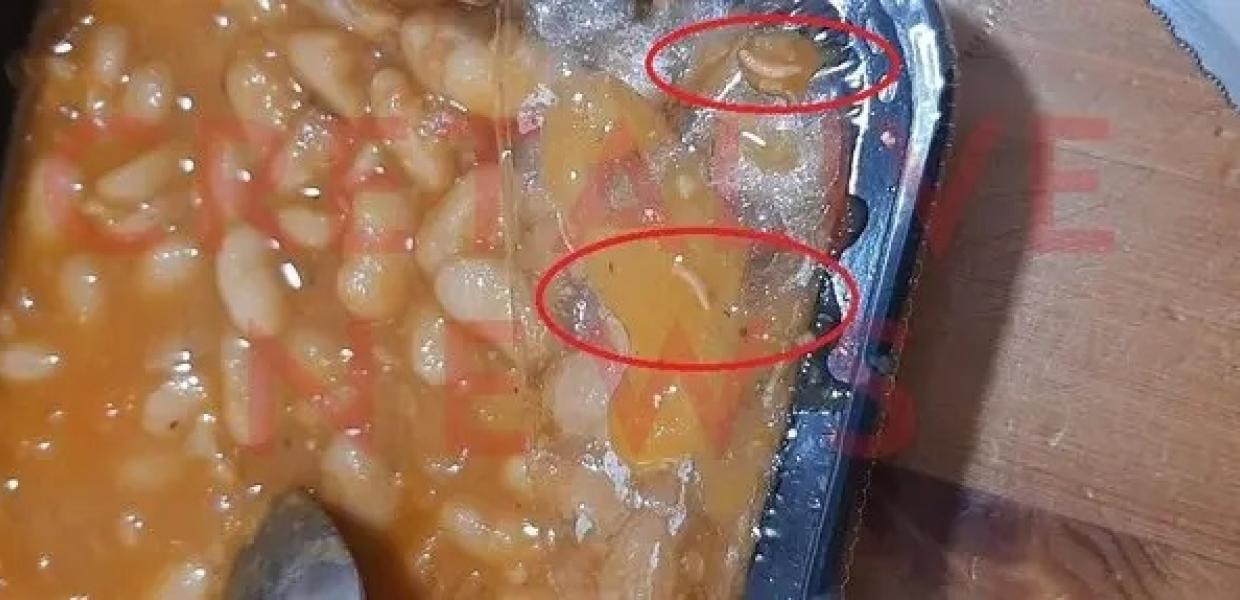 Σκουλήκια σε σχολικό γεύμα