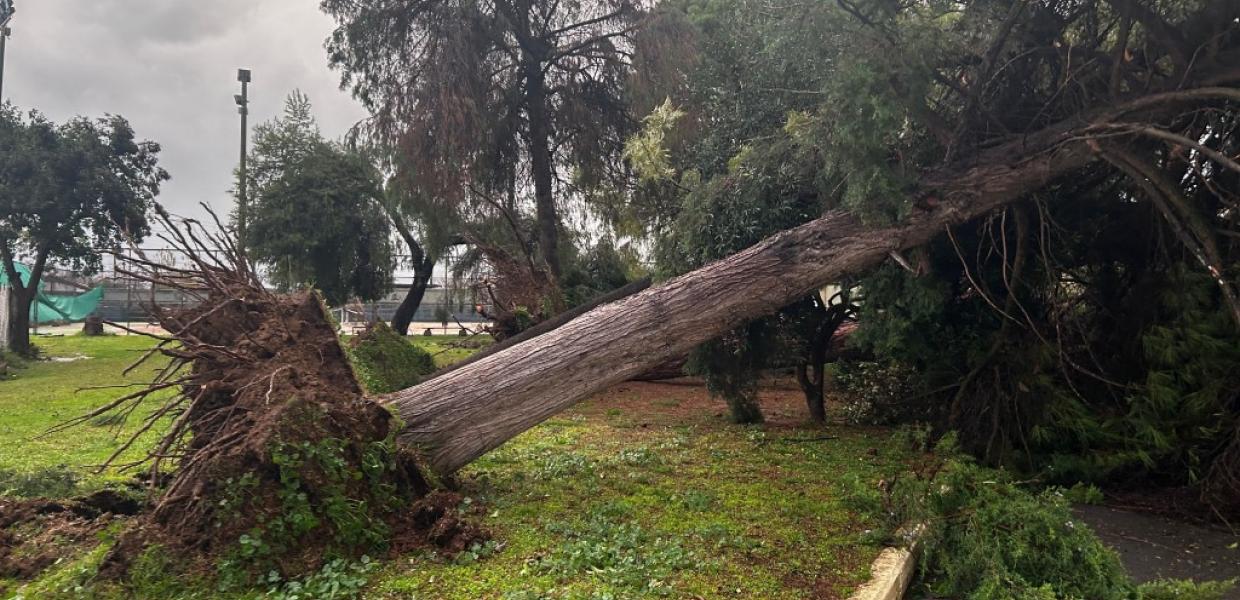 ΑΓΡΙΝΙΟ ΑΝΕΜΟΣΤΡΟΒΙΛΟΣ