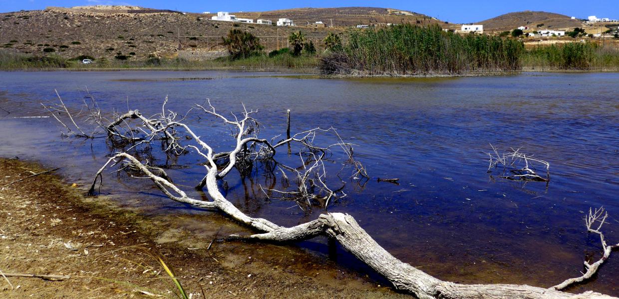 NATURA 2000 - Αντίπαρος
