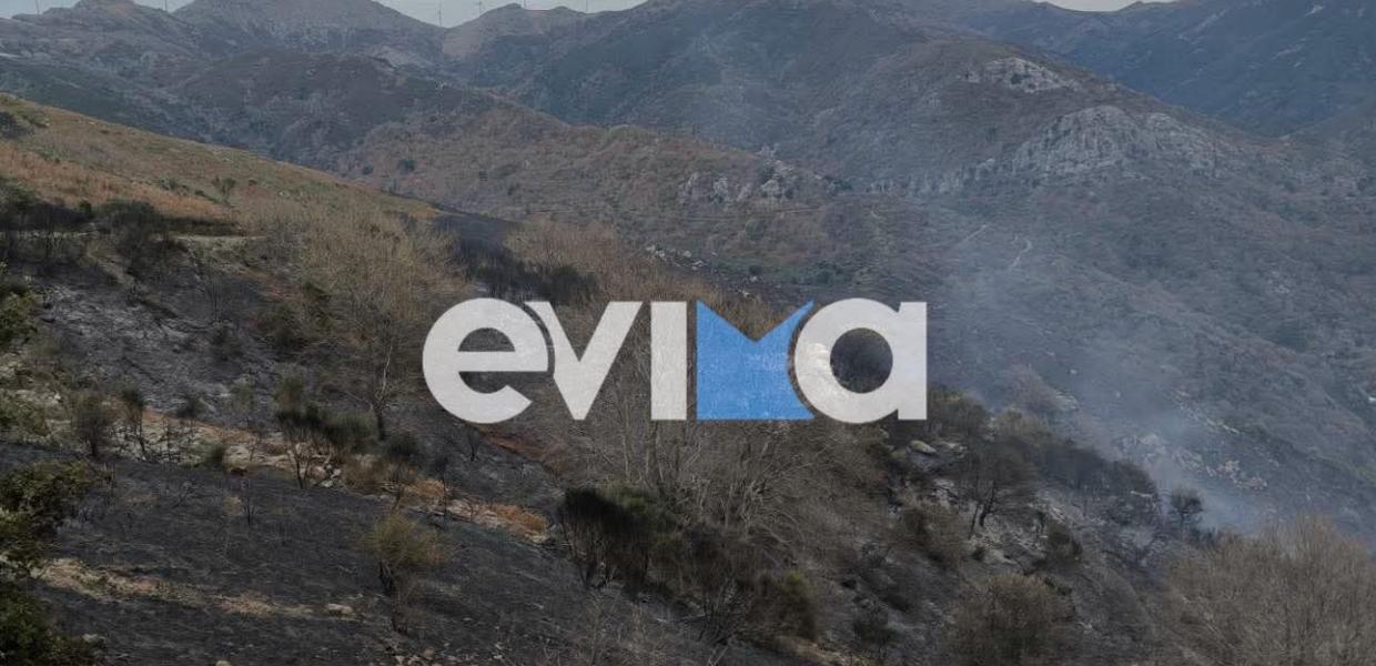 Φωτιά στην Εύβοια