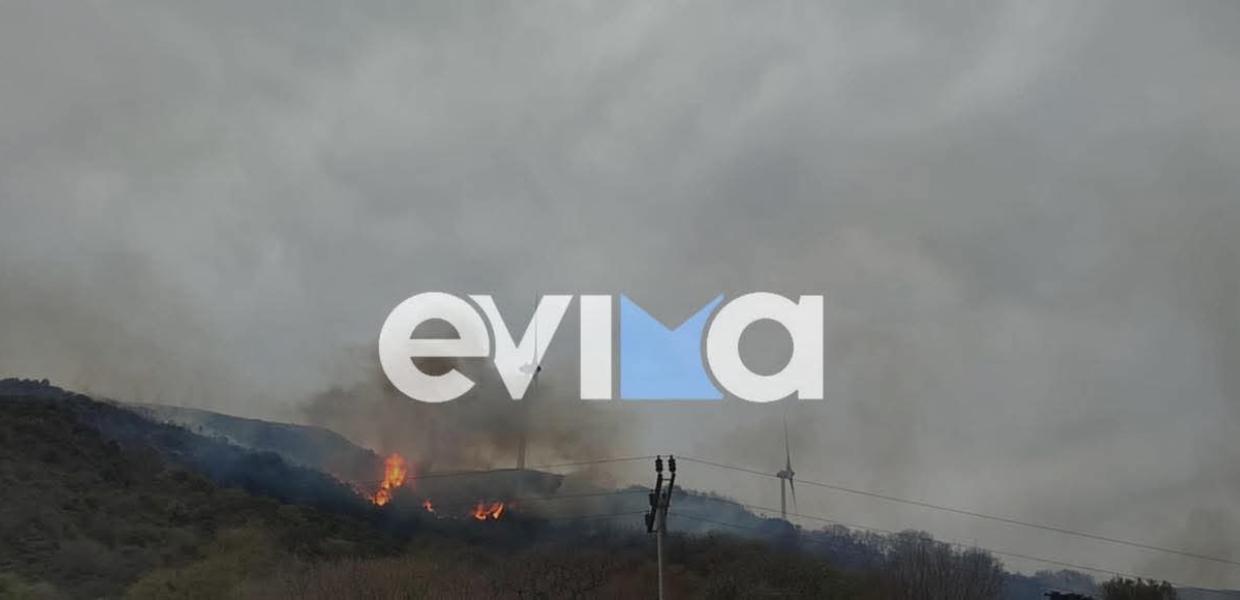 Φωτιά στην Ευβοια