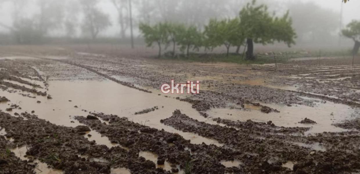 Πλημμυρισμένα χωράφια στο Λασίθι