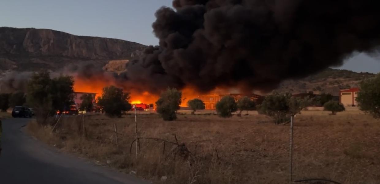 Φωτιά στα Μέγαρα