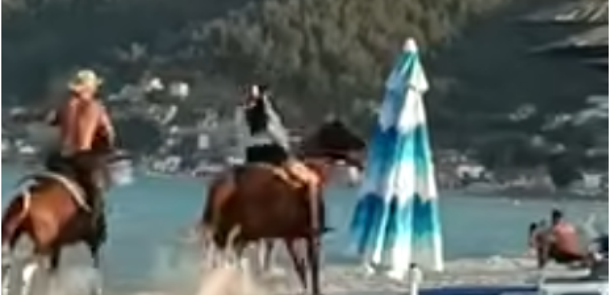 ΑΛΟΓΑ ΤΡΑΥΜΑΤΙΣΑΝ 5ΧΡΟΝΗ ΣΤΗ ΘΑΣΟ