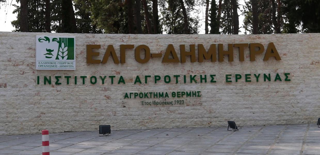 ΕΛΓΟ - ΔΗΜΗΤΡΑ