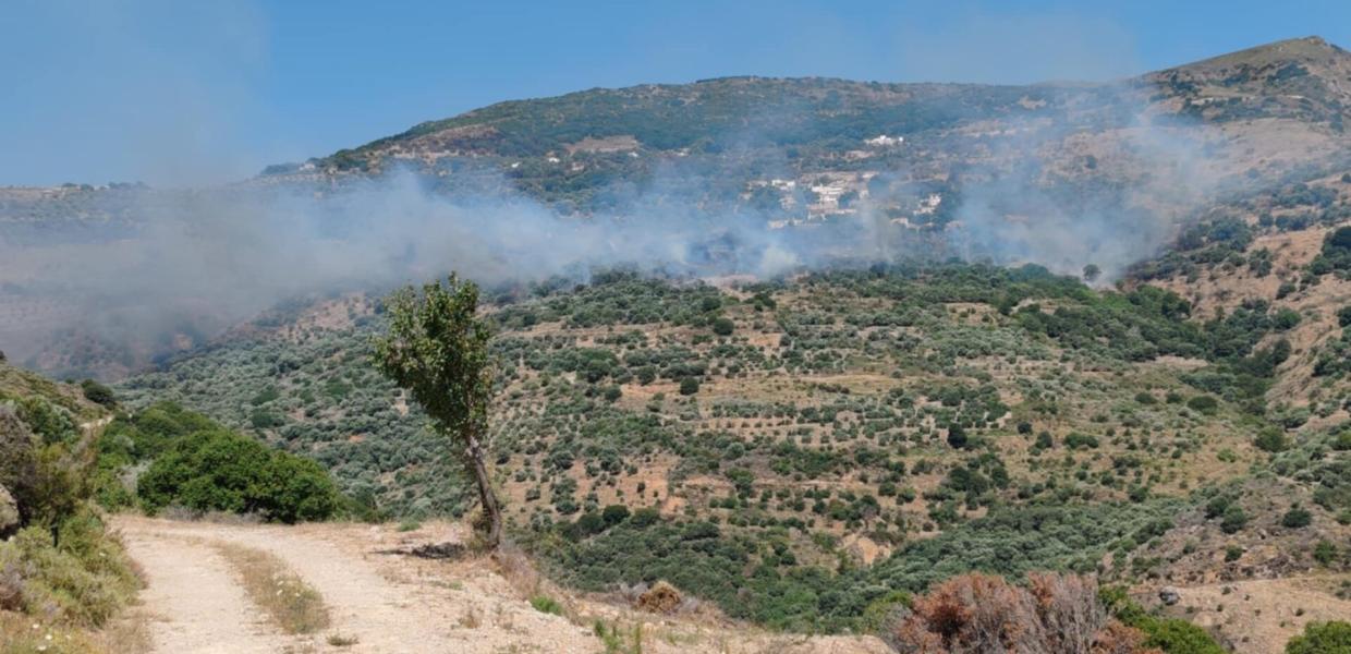 Φωτιά στον Αγριλέ