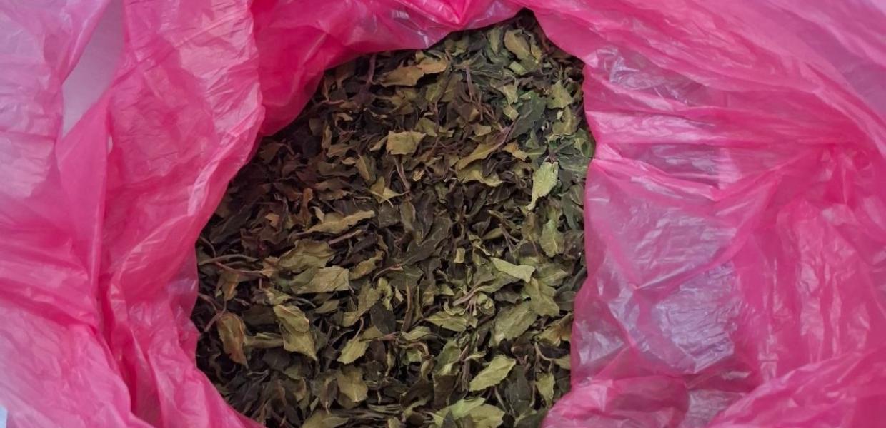 Μισό τόνο KHAT (φυσική κόκα) εντόπισε και κατάσχεσε η ΑΑΔΕ στο «Ελευθέριος Βενιζέλος»