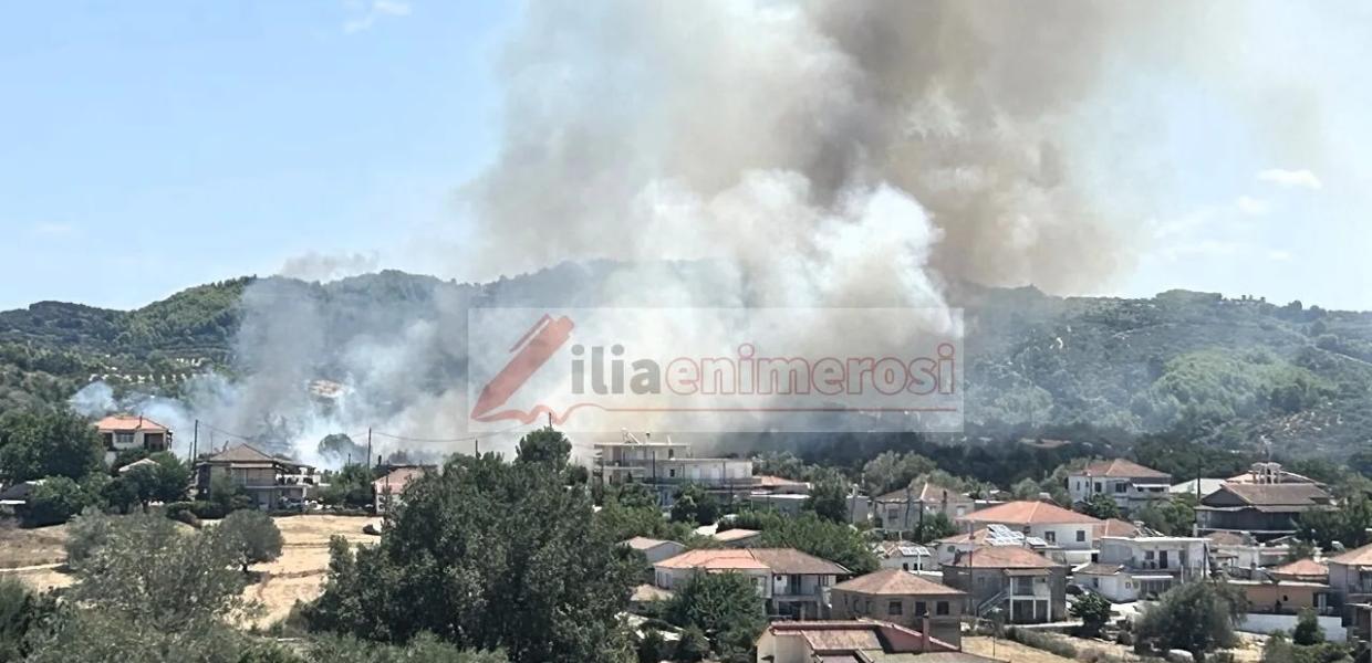 Φωτιά στον Ελαιώνα Ηλείας