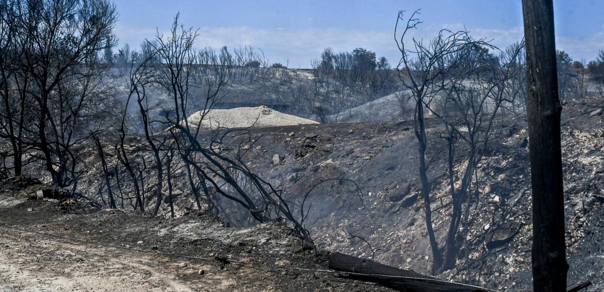 Καμένα στην Αχαϊα από την μεγάλη φωτιά