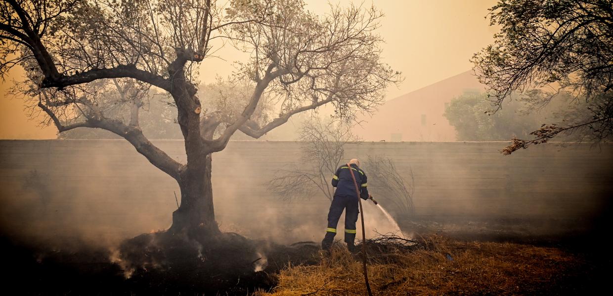 Πυροσβέστης σβήνει εστίες στην πυρκαγιά της Κερατέας στην Αττική, Παρασκευή 08/08/2025 