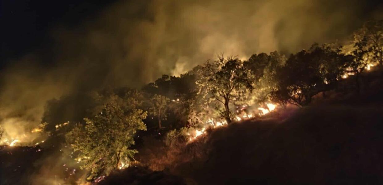  Φωτιά τώρα στην περιοχή της Φιλίας – Είναι η 3η φορά σε μία ημέρα