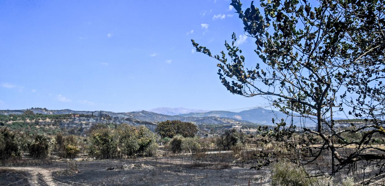 Γηροκομειό - Πάτρα