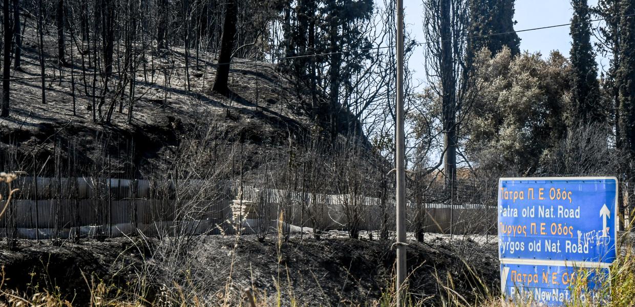 Στιγμιότυπο από καμένη περιοχή της Πάτρας, Πέμπτη 14 Αυγούστου 2025