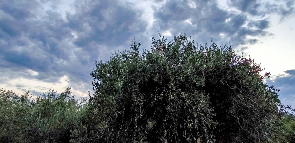 Συννεφιά - καιρός